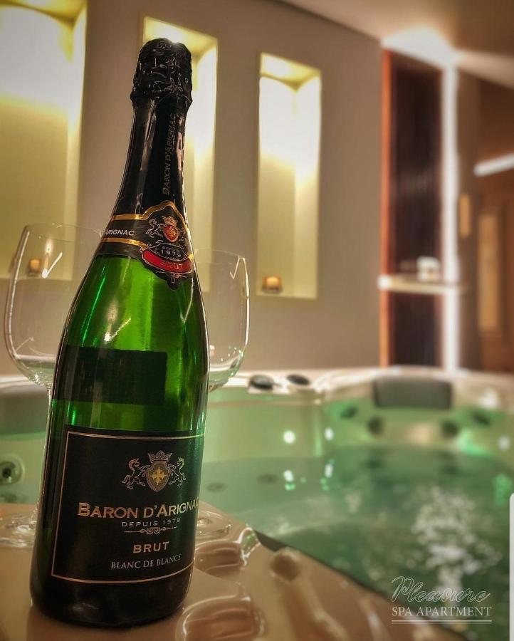 Spa Pleasure Apartman Novi Sad Ngoại thất bức ảnh